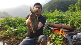 남한강낚시 통신원속보 > 명서낚시터 노지낚시 대박 2 : 낚시사랑