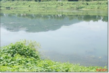 내사리사공 통신원속보 > 달천강노지 포인트를 찾아서 : 낚시사랑