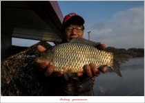 관문낚시마트 통신원속보 > 제일 낚시터 허리급 월척 조황.. : 낚시사랑