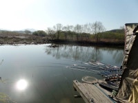 이박사낚시 통신원속보 > 이박사낚시 대박조황정보.. : 낚시사랑