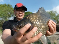 이박사낚시 통신원속보 > 이박사낚시 42..39..38cm 조황정보.. : 낚시사랑