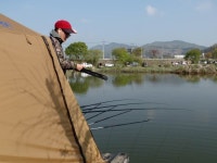 이박사낚시 통신원속보 > 이박사낚시 42..39..38cm 조황정보.. : 낚시사랑