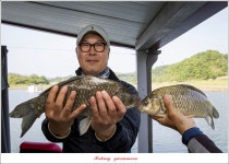 관문낚시마트 통신원속보 > 제일 42.5 cm..40.5 cm..40 cm..사짜 행진.. : 낚시사랑