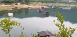 남한강낚시 통신원속보 > 서운리 솔 새단장과 함께 4짜 대물붕어소식//명서 4짜 대물붕어와 장어조황 소식~~ : 낚시사랑