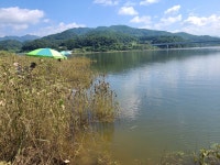 양구낚시 통신원속보 > 파로호공수리 조황입니다 : 낚시사랑