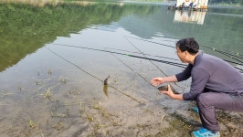 남한강낚시 통신원속보 > 솔 낚시터 43cm 대물 붕어 // 명서 4짜와 마릿수 조황 소식 : 낚시사랑