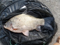 이박사낚시 통신원속보 > 이박사낚시 조황정보.. : 낚시사랑