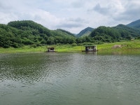 남한강낚시 통신원속보 > 충주호 하천낚시터 4짜 붕어 소식~ : 낚시사랑