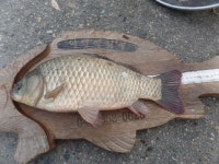 이박사낚시 통신원속보 > 이박사낚시 조황정보.. : 낚시사랑