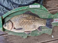 조황조행기 > 특파원조황 > 충주호 하천낚시터 조황 소식입니다.