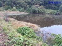 조황조행기 > 특파원조황 > 가을소류지 탐사독조 ~~