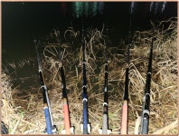 가나낚시마트 통신원속보 > 진위천 평택호 조황 : 낚시사랑