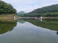 남한강낚시 통신원속보 > 충주호 하천낚시터 허리급과 마릿수 조과 소식입니다. : 낚시사랑
