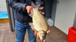 내사리사공 통신원속보 > 키다리낚시터대물 허리급준척마리수 : 낚시사랑