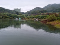남한강낚시 통신원속보 > 충주호 하천낚시터 조황 소식입니다. : 낚시사랑