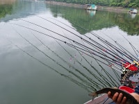 남한강낚시 통신원속보 > 충주호 하천낚시터 4짜 소식입니다. : 낚시사랑