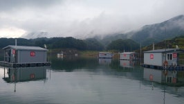 내사리사공 통신원속보 > 키다리낚시터 허리급월척 마리수 : 낚시사랑