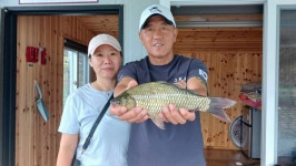 내사리사공 통신원속보 > 꾸준한조황을 보이는키다리낚시터 허리급월척마리수 : 낚시사랑
