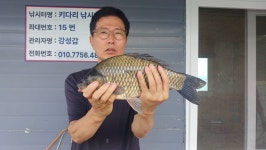 내사리사공 통신원속보 > 문골4짜월척 .키다리낚시터4짜허리급마리수 : 낚시사랑