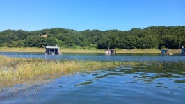 내사리사공 통신원속보 > 키다리4짜4짜 문골대물붕어마리수 : 낚시사랑