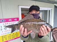 남한강낚시 통신원속보 > 충주호 하천낚시터 43cm 대물 소식입니다. : 낚시사랑