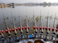 대물승부사리갈~ > 2018년 대물승부사납회~~ : 낚시사랑