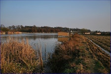 오복 > 충북 음성에 소재한 성미지를 다녀왔습니다. : 낚시사랑