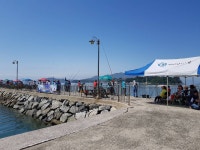 이갑철 > 감 동 : 낚시사랑