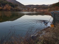 바닥찻기 > 순천 왕지제(대동지)종료 : 낚시사랑