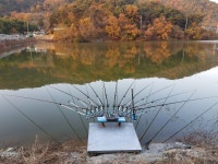 바닥찻기 > 순천 왕지제(대동지)종료 : 낚시사랑