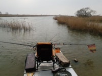 낙엽비 > 서산시 와룡천 낚시 마감 : 낚시사랑