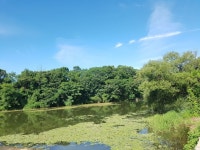 토탈조사 > 초평천의 7월 낚시마감 : 낚시사랑