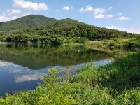 아래울 > 홍성군 금마면 봉서제 낚시 마감 : 낚시사랑