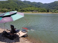 아래울 > 예산군 수철리 저수지 낚시마감 : 낚시사랑