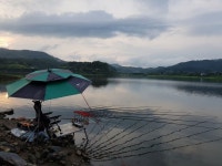 아래울 > 천태저수지 마감 : 낚시사랑