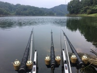 새옹지마 > 대청댐 종료 : 낚시사랑