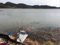 승부사앤디 > 태안 죽림지 마감 : 낚시사랑