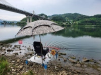 월척수배 > 충주 오석면 물안개펜션 앞 남한강 마감 : 낚시사랑