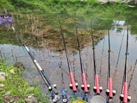 월척수배 > 충북 보은소재 쌍암지 마감 : 낚시사랑