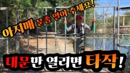 대포붕어Tv > 이번에도 타작에 기미가 보인다! 저 대문만 열리면 ! 제발 열려라 제발 제발 ~~참깨! : 낚시사랑