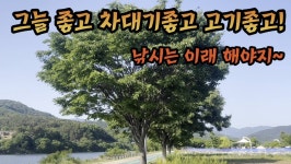 대포붕어Tv > 그늘 좋고 차대기 좋고 붕어좋고 낚시인이 꿈꾸는 낚시터가 이런곳이 아닌가요? : 낚시사랑