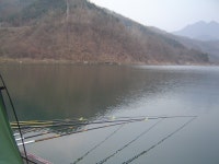 내발몰라 민물낚시 노지조행기 > 충주호 하천 마지막 물낚시 : 낚시사랑