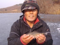 황실붕어 민물낚시 노지조행기 > 부강소류지2 : 낚시사랑
