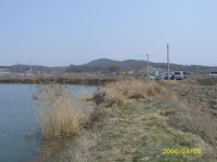 아하손 민물낚시 노지조행기 > 화성시 사강의 독지리 저수지 탐방 : 낚시사랑