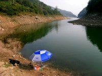 늪골조사 민물낚시 노지조행기 > 나홀로 낚시. (소양호 오항리 뱃터의 가을) : 낚시사랑