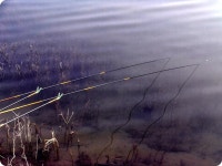 늪골조사 민물낚시 노지조행기 > 나홀로 낚시. (소양호 오항리 뱃터의 가을) : 낚시사랑