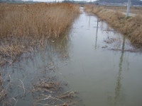 참태공 민물낚시 노지조행기 > 해제임수리 소류지<고기어장>///해제염전수로찰칵 : 낚시사랑