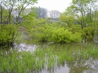토붕짱-음성 내곡지 곧잘 나오네요! : 낚시사랑