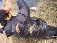 대박크럽 민물낚시 노지조행기 > 비금도 조항 : 낚시사랑