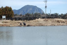 서붕 민물낚시 노지조행기 > 제주도의 민물낚시 네번째 이야기 : 낚시사랑